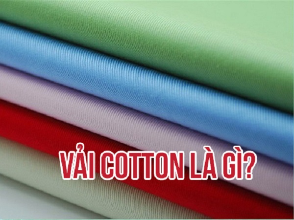 vai cotton la gi